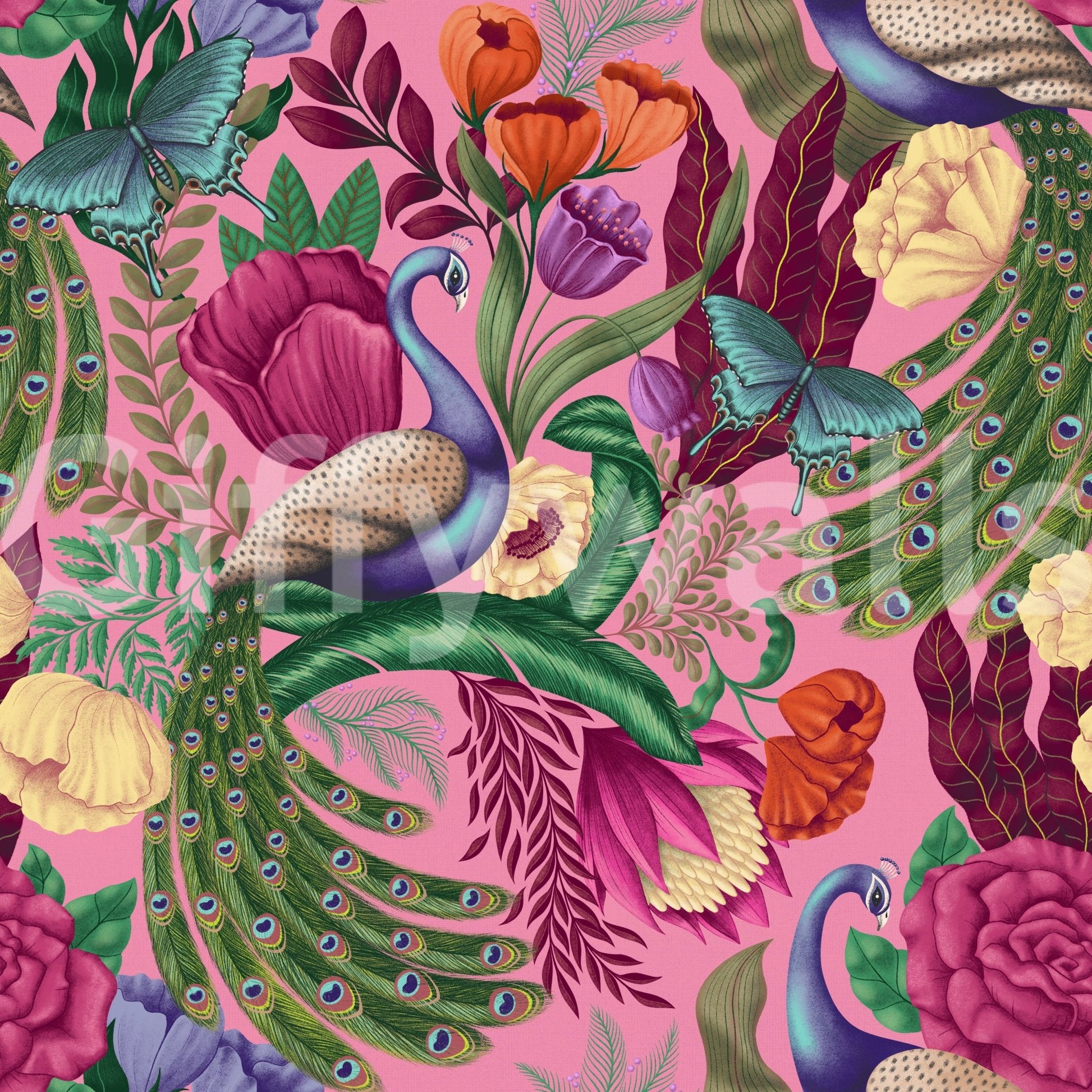 Pink peacock wallpaper layered with butterflies, roses, and sweeping feather forms