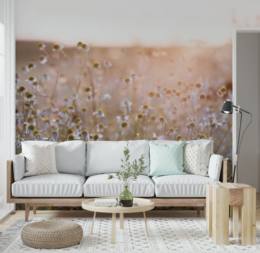 Meadow Bloom Sunset Wall Mural