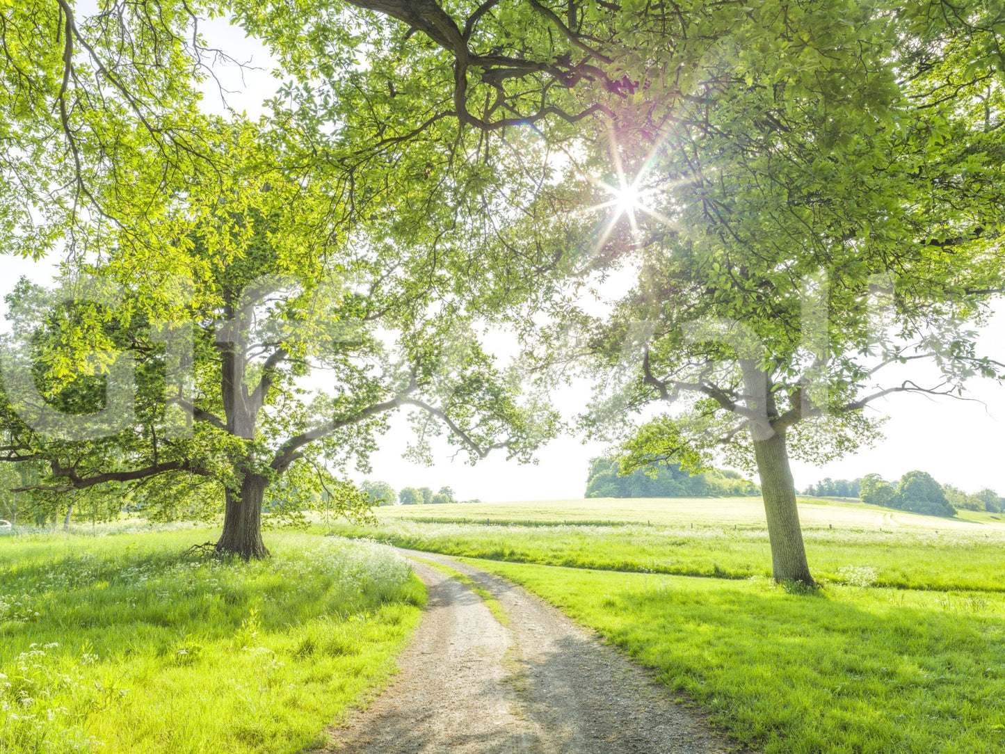 The style is artistic and natural, not a realistic photograph.







