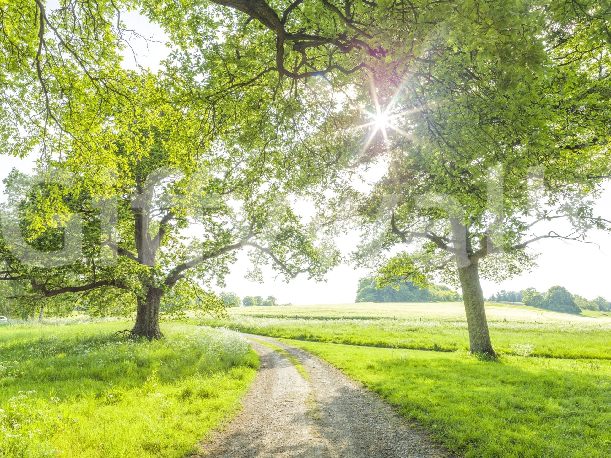 The style is artistic and natural, not a realistic photograph.







