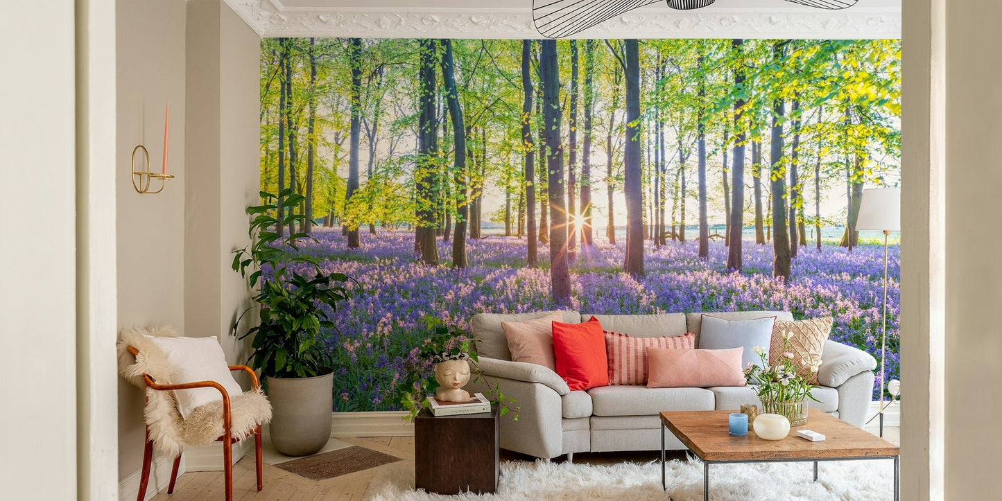 Spring forest with sunlight wall mural

