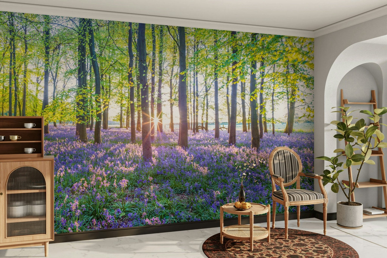 Bluebell forest wall mural with sunrise

