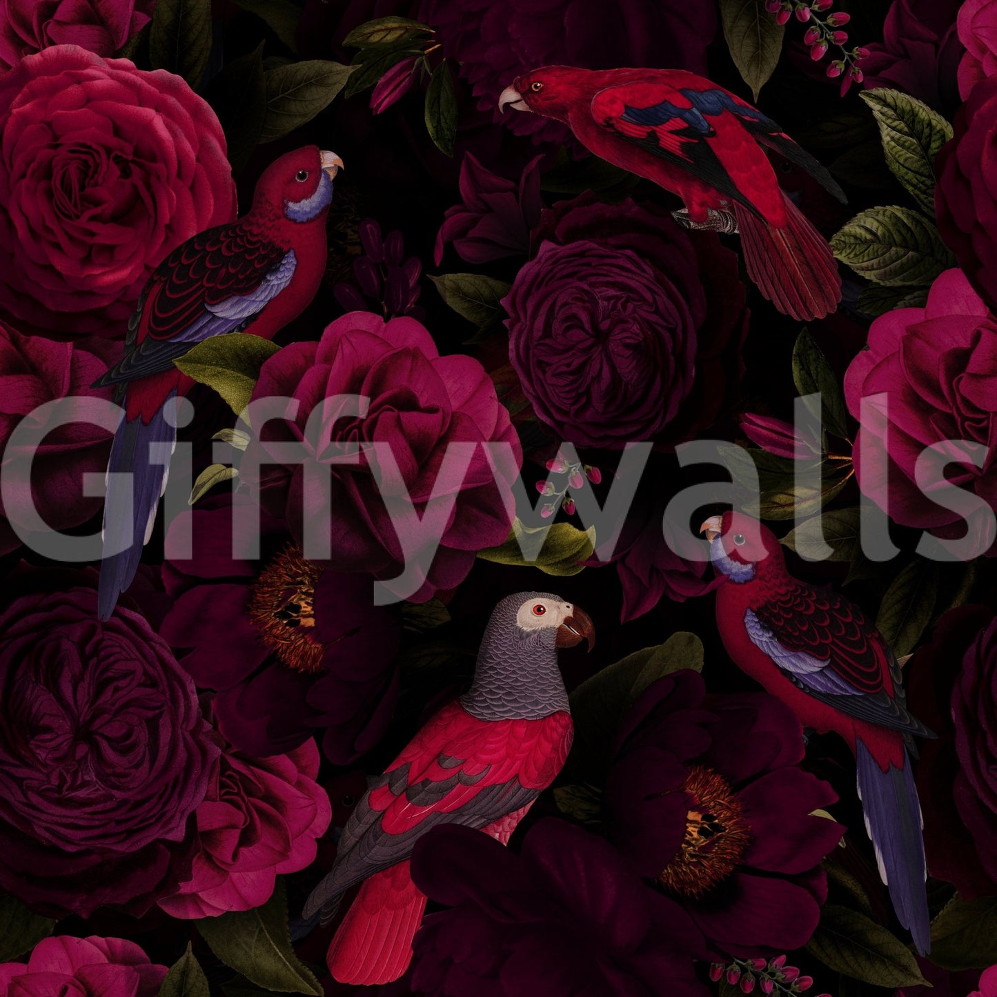 Midnight Bloom 1 Wallpaper⁠