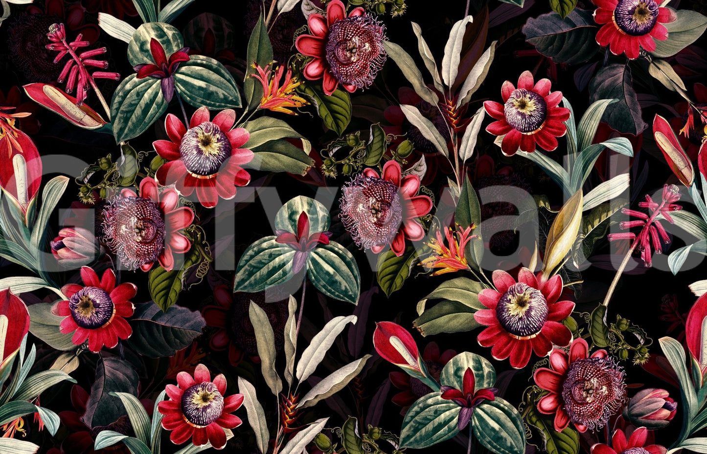 Midnight Bloom 2 wallpaper enhancing home décor

