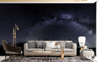 Milky Way Starry Night Wallpaper Mural - Giffywalls A236