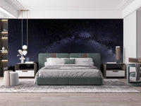 Starry night mural featuring the Milky Way A236
