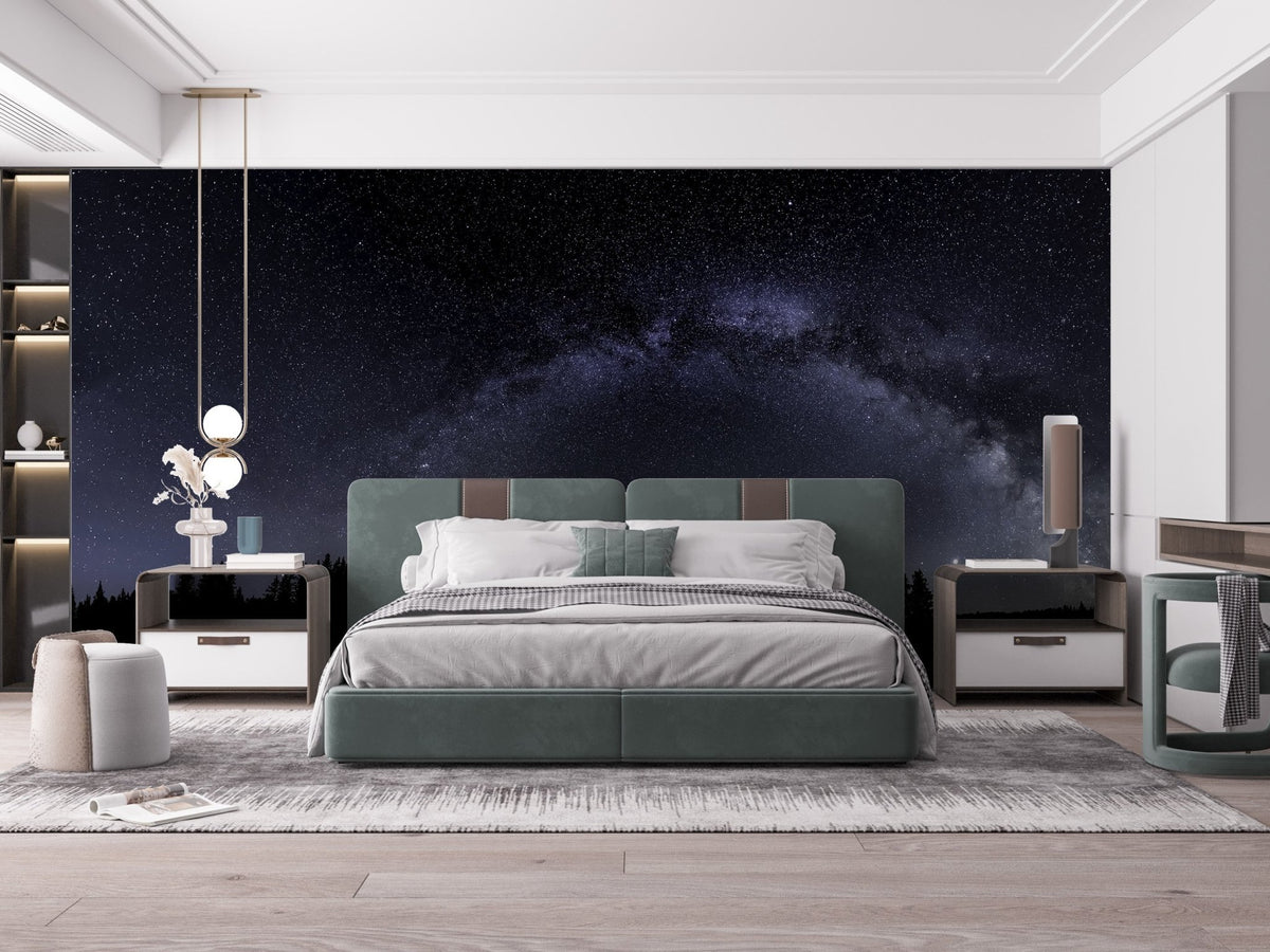 Starry night mural featuring the Milky Way A236

