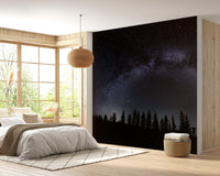 Milky Way Starry Night Wallpaper Mural - Giffywalls A236