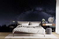 Serene starry night wall art with the Milky Way A236
