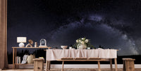 Mystical starry mural showcasing the Milky Way A236
