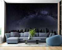 Milky Way Starry Night Wallpaper Mural - Giffywalls A236