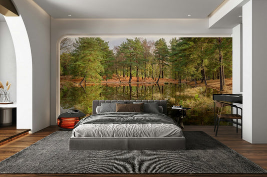 A beautiful serene forest landscape with trees reflecting in still water.

