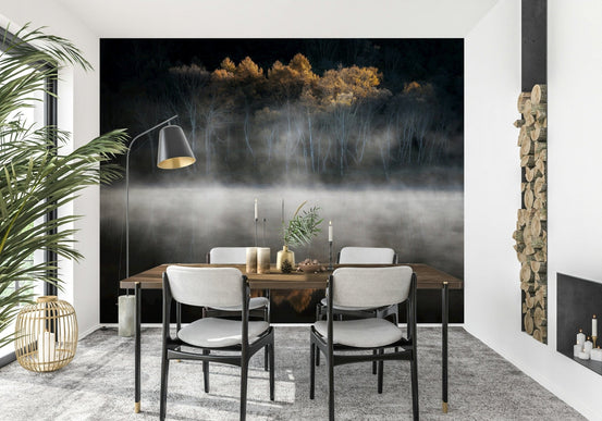 Spectacular glow of autumn leaves Mist and Light Woodland photographic mural., GD6920
