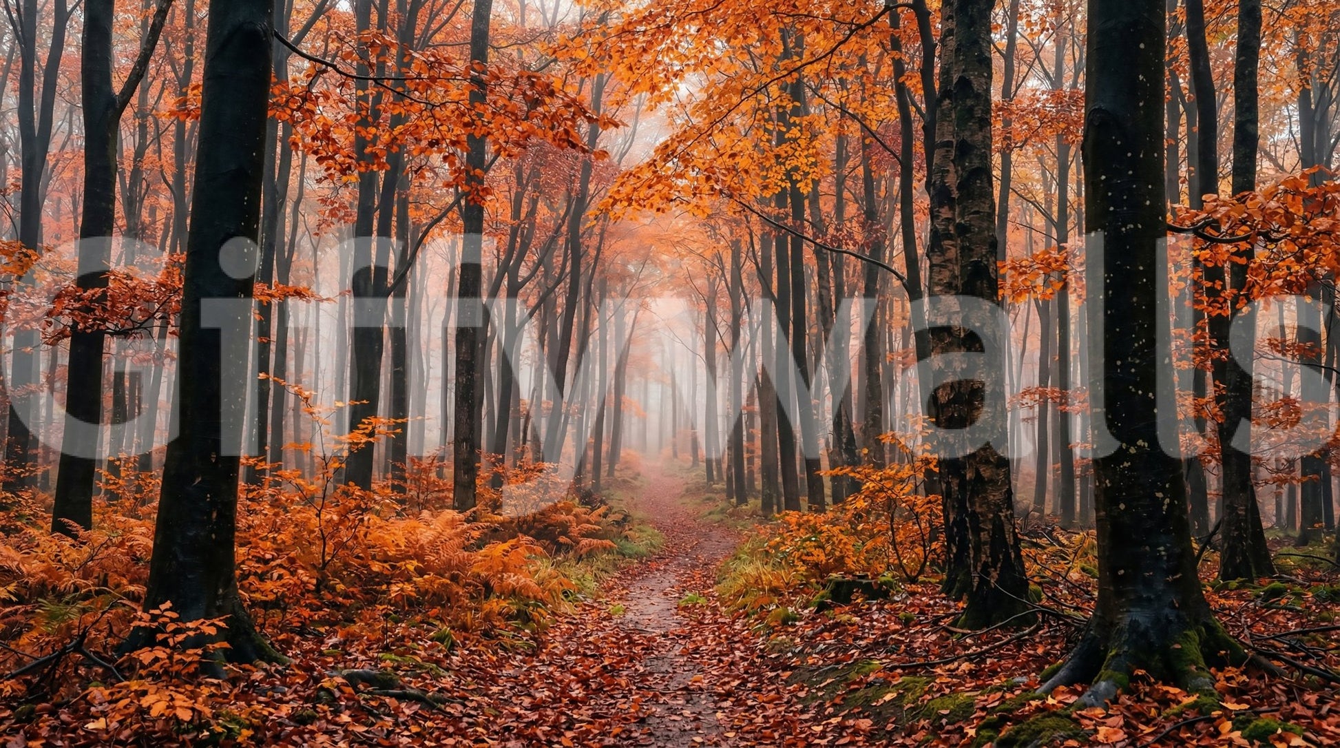 Layered trees and mist in Misty Forest Path wall mural art, GD9326