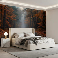 Misty Autumn Forest Road Wall Mural
