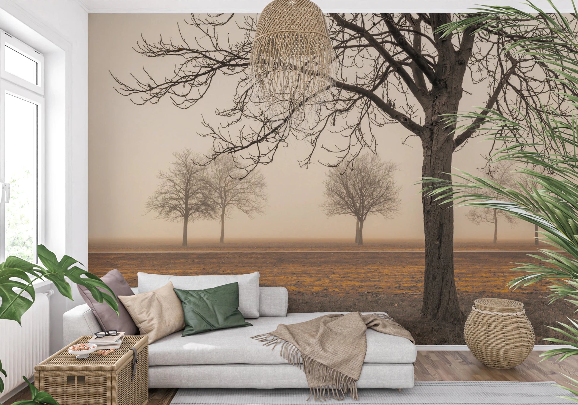 Silent foggy meadow with deciduous trees wall mural