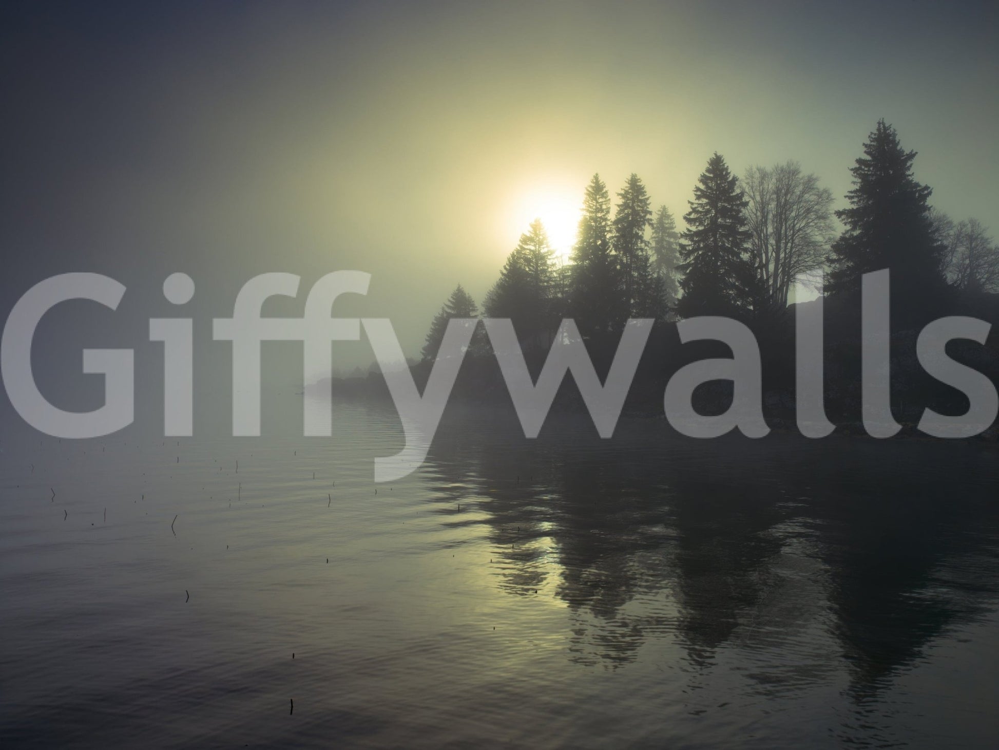Moody landscape wallpaper for a contemporary apartment wall mural.