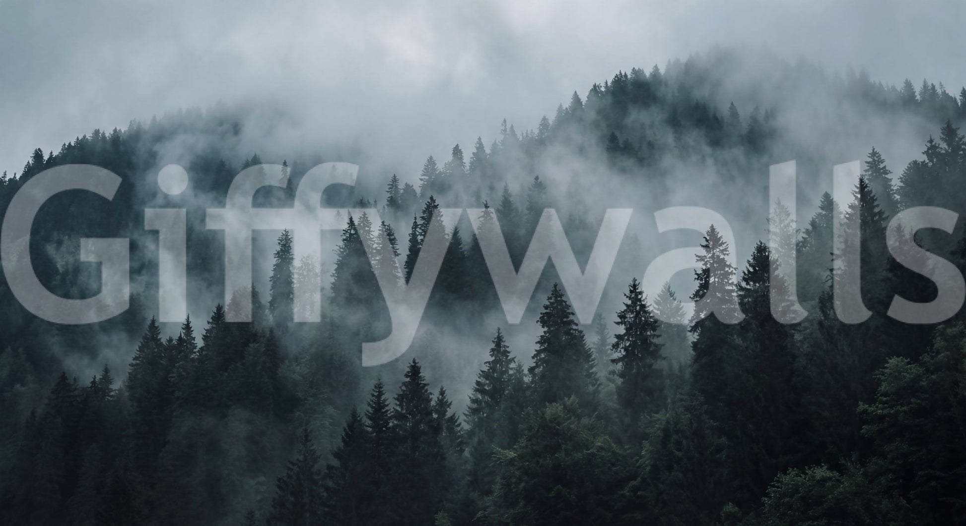Misty Forest Ascent Wall Mural