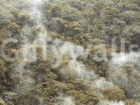 Wooded area Misty Forest Canopy Wall Mural mist covered.