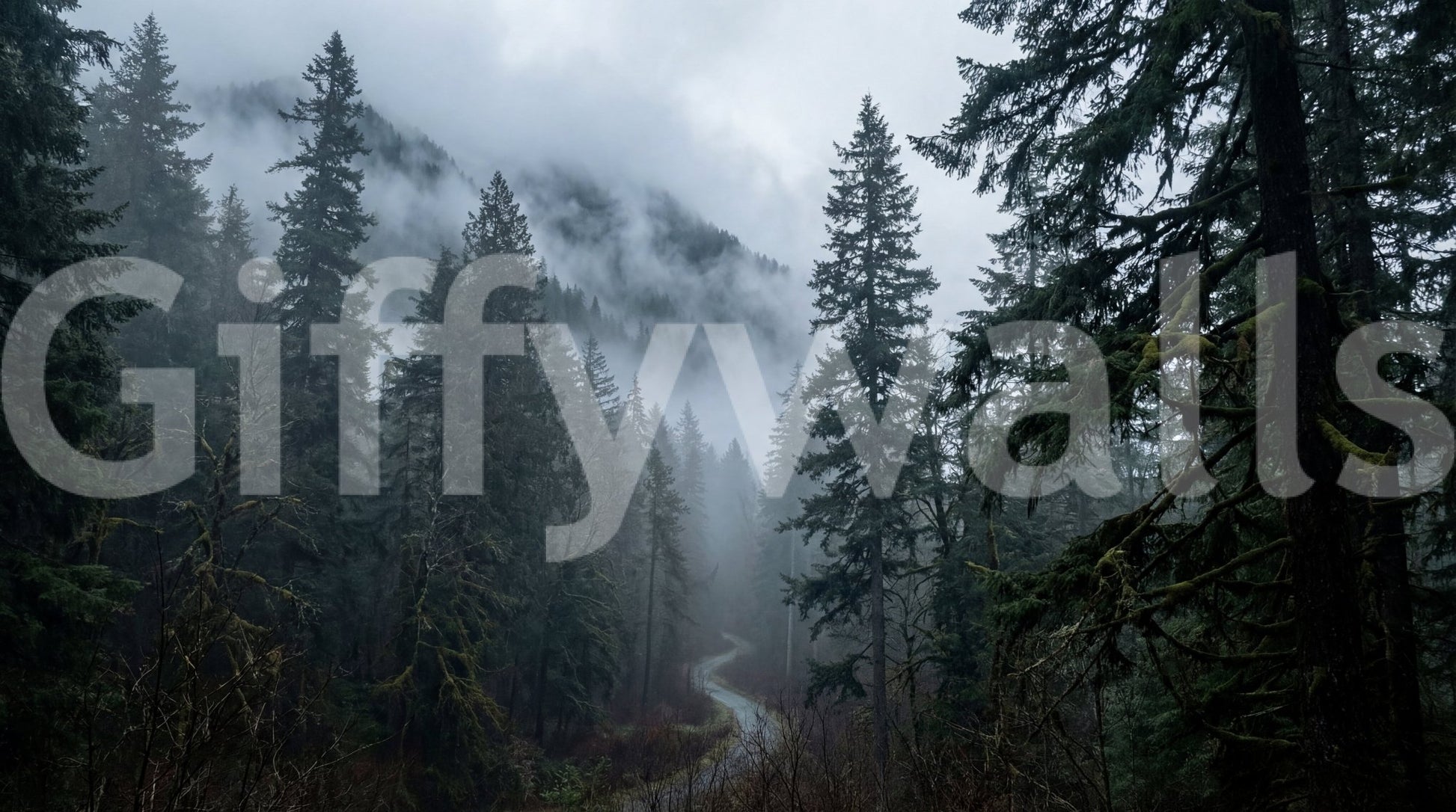Misty Forest Path In Winter Wall Mural