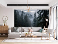 Misty Forest Path In Winter Wall Mural