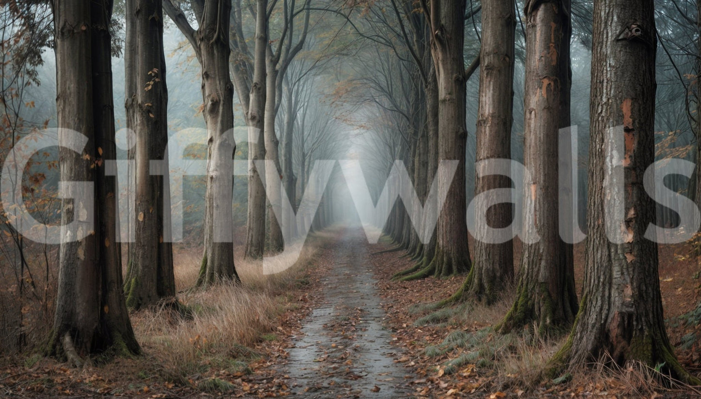 Misty Forest Path wall mural for a professional workspace suite.
