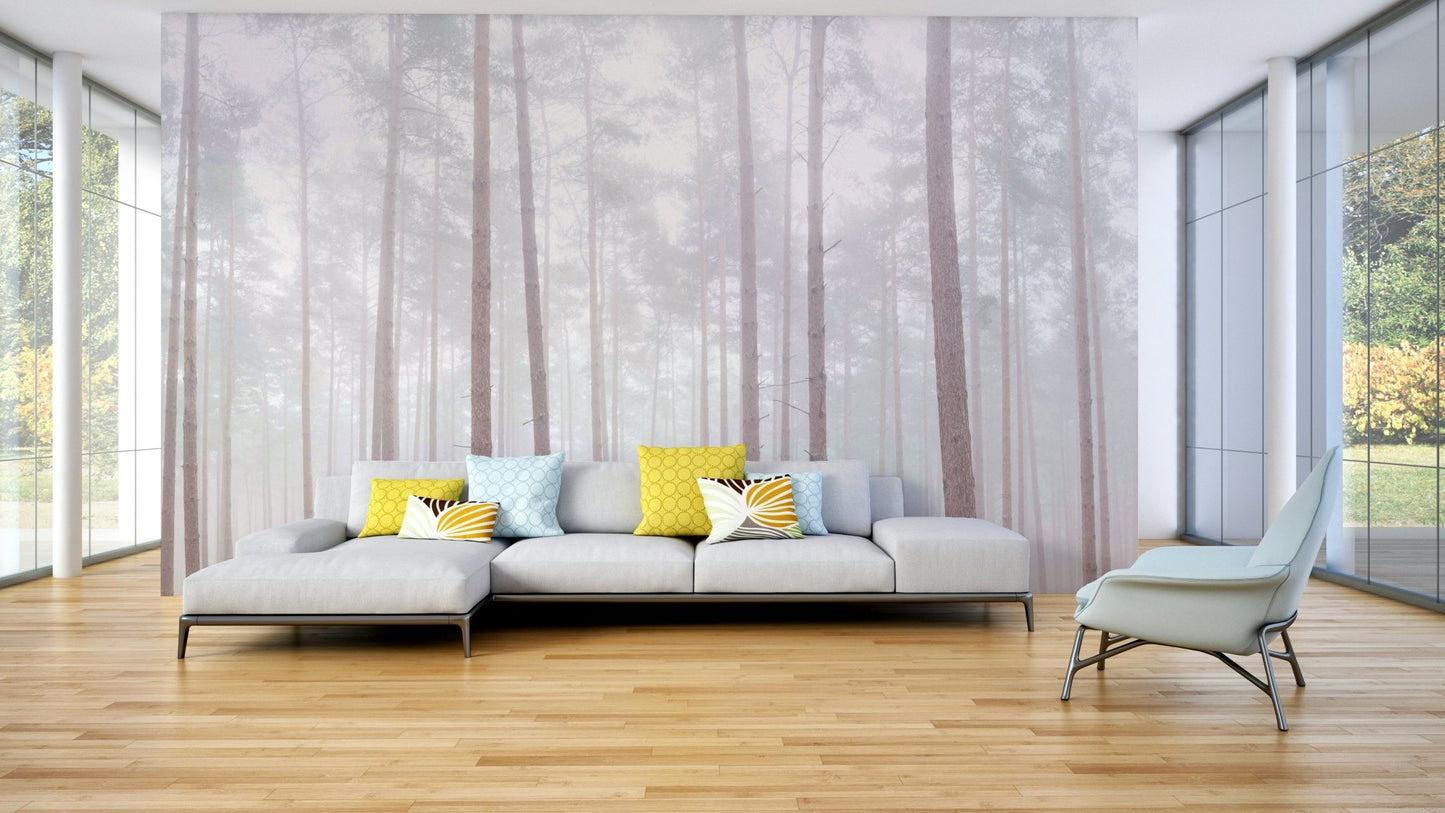 Tall pine trees in mist wall mural

