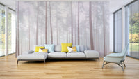 Tall pine trees in mist wall mural

