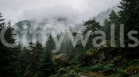 Close up of individual panels showing the flow of the Misty Forest Wall Mural., GD9100