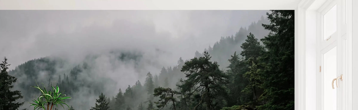 Misty Forest Wall Mural | Serene Pine & Fog Wallpaper