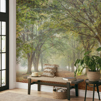 The light is gentle and diffused, giving the scene a soft glow.

