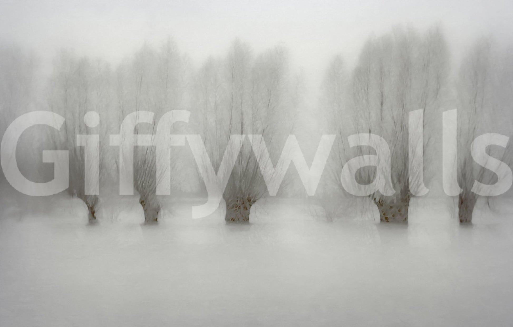 A high-quality minimalist tree wall mural for walls.