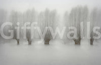 A high-quality minimalist tree wall mural for walls.