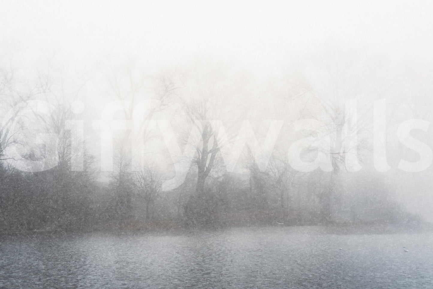 Sophisticated Misty Lake's Edge wall mural for a professional studio.