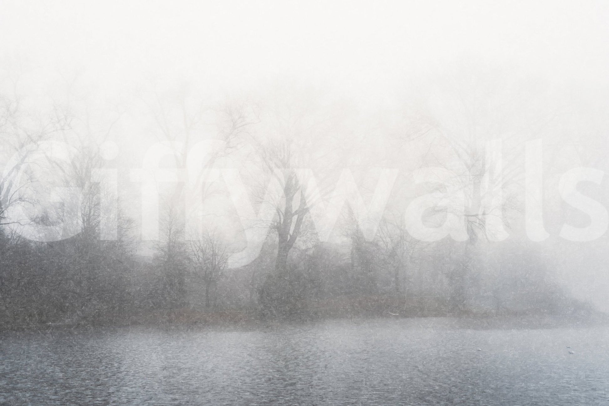 Sophisticated Misty Lake's Edge wall mural for a professional studio.