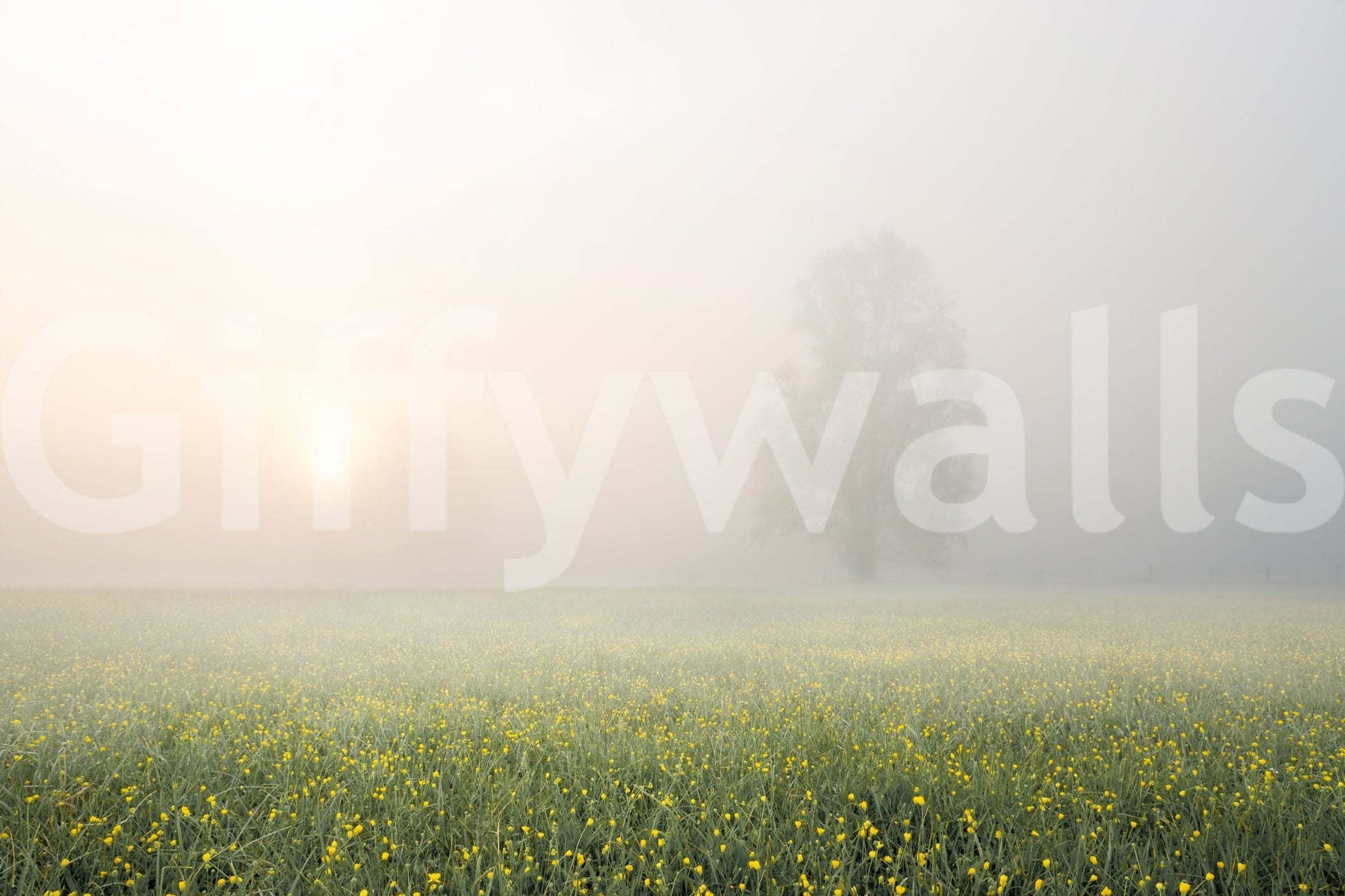 A high-quality minimalist wall mural for walls.
