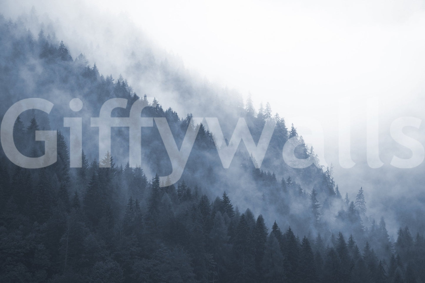 Misty Mountain Forest Wall Mural