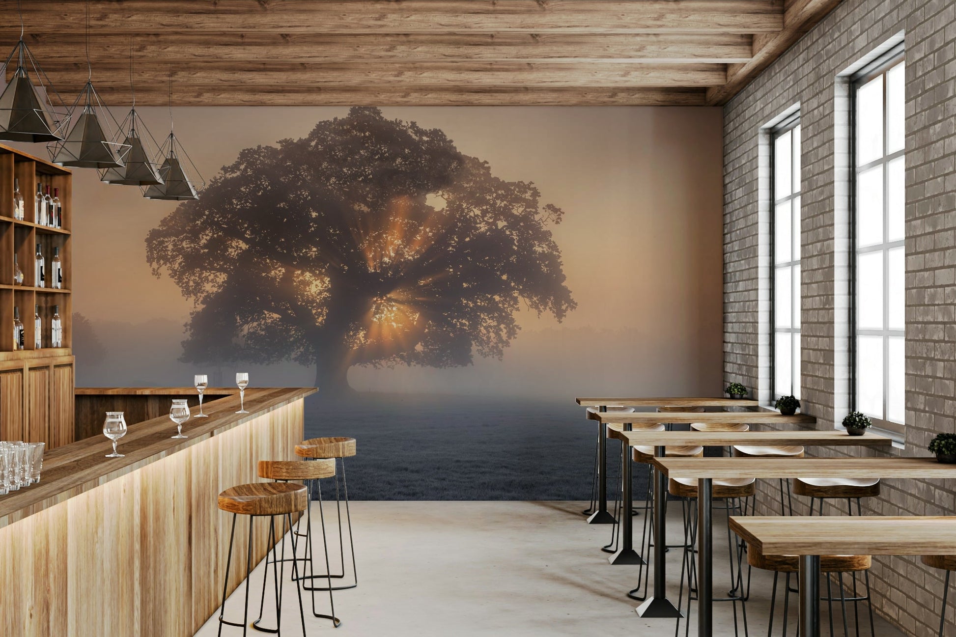 The image shows a large tree silhouetted against a soft sky.

