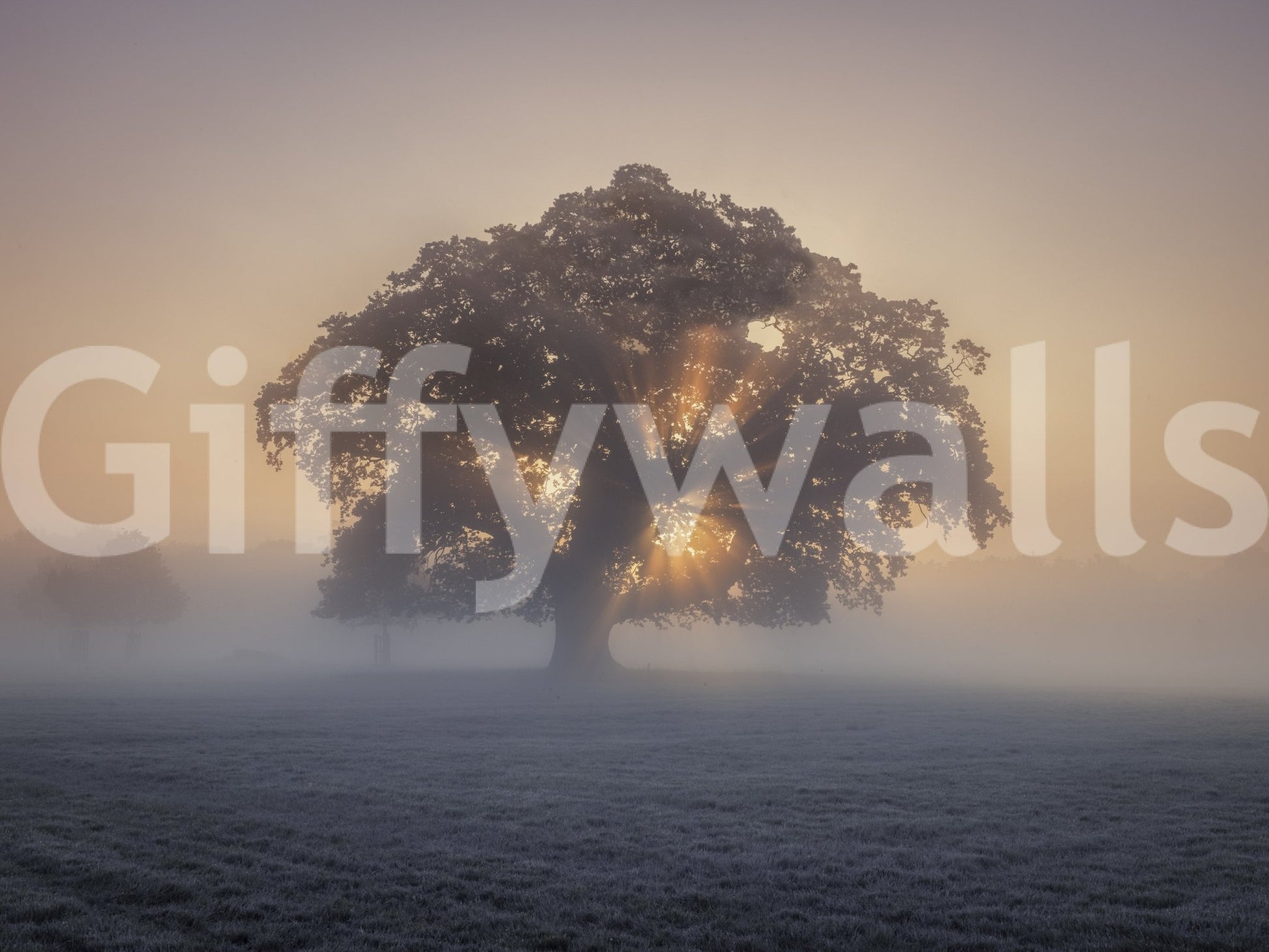 The image is a high-quality photograph.

