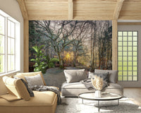 Sunlit foggy trees wall mural in a spacious hallway.