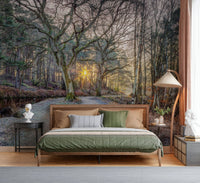 Misty Woodland Glare wallpaper for a peaceful guest room.