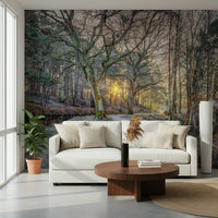 Green and grey misty forest wallpaper for a feature wall.