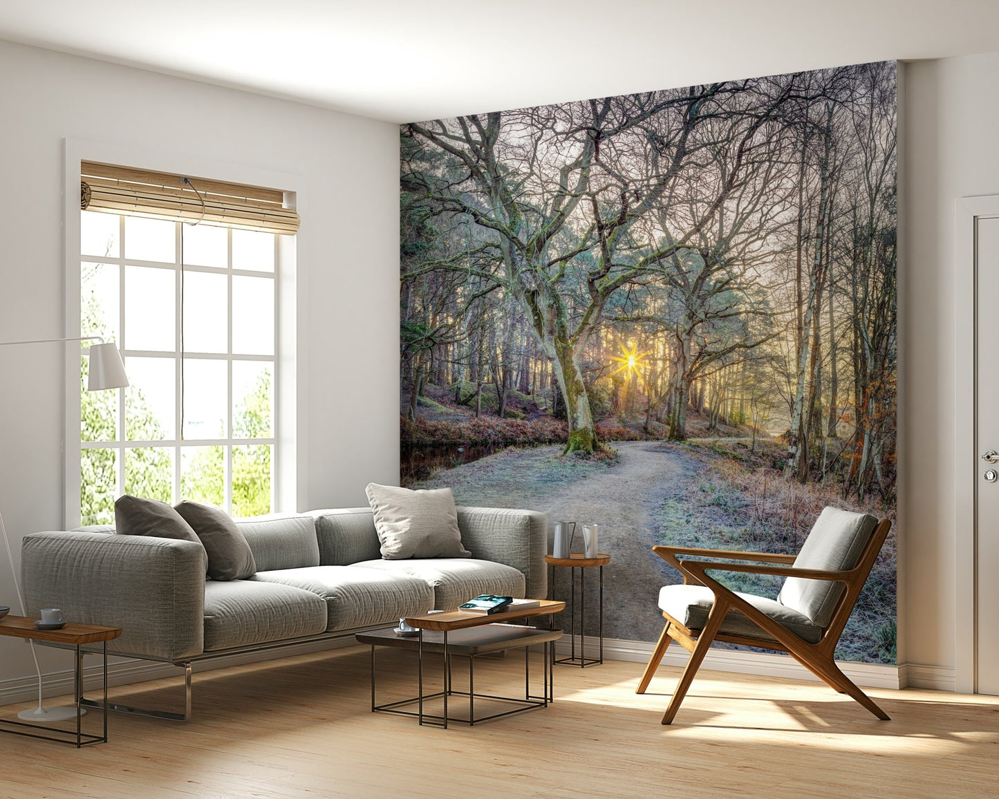 Tranquil woodland scene wall mural in a modern study area.