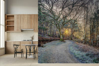 Misty Woodland Glare wallpaper behind a neutral grey sofa.