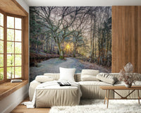 Foggy forest wallpaper design for a calming bedroom atmosphere.
