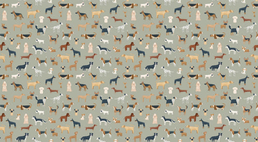 Diverse Dog Breeds Wallpaper