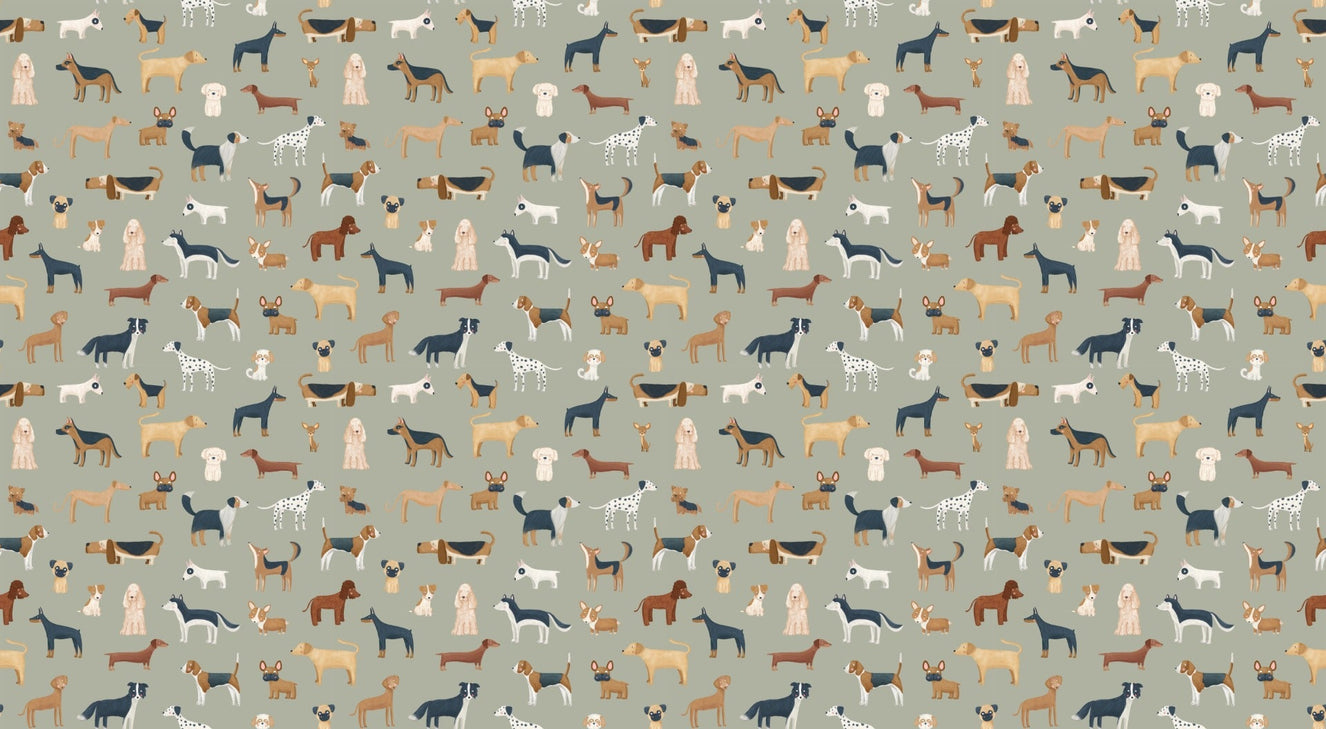 Diverse Dog Breeds Wallpaper