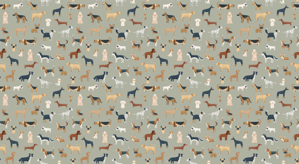 Diverse Dog Breeds Wallpaper in your room — zoomed