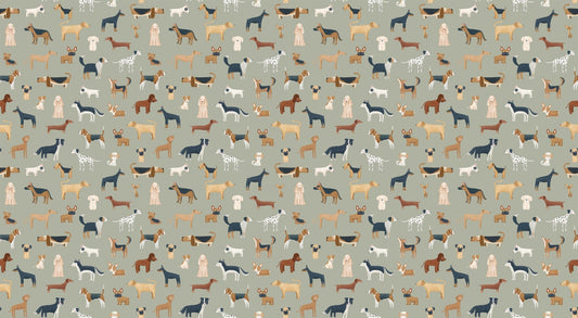 Diverse Dog Breeds Wallpaper
