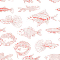 Coral fish wallpaper with simple nautical linework and airy detail